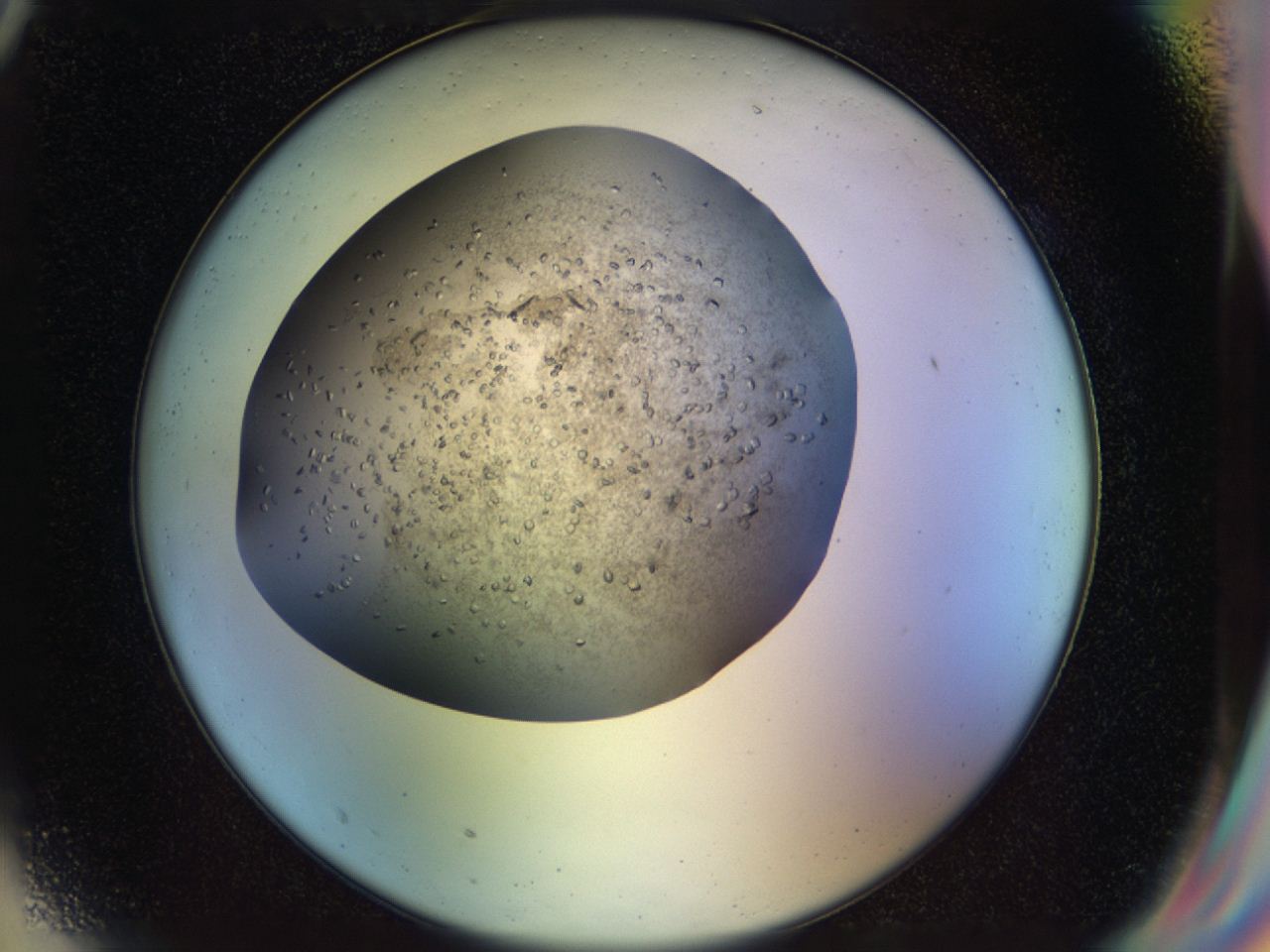 04n9_G9_ImagerDefaults_9.jpg