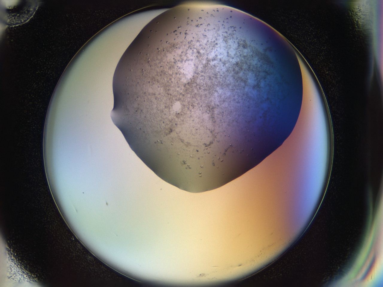 04n9_G10_ImagerDefaults_8.jpg