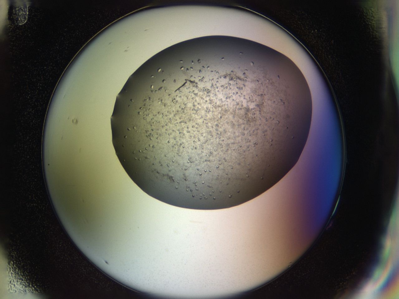 04n9_G11_ImagerDefaults_9.jpg