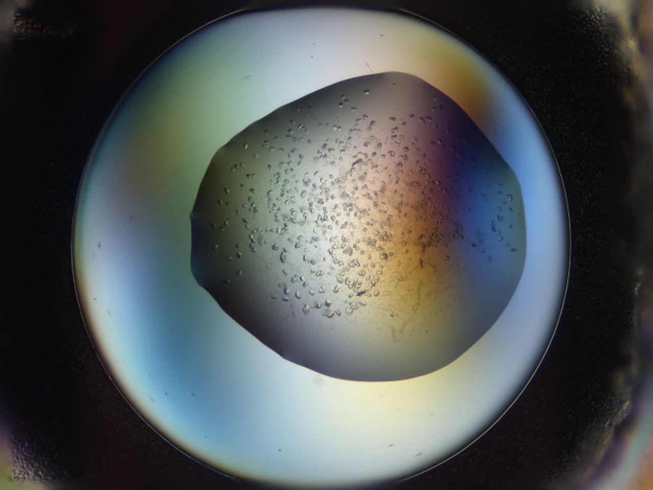 04n9_G12_ImagerDefaults_9.jpg