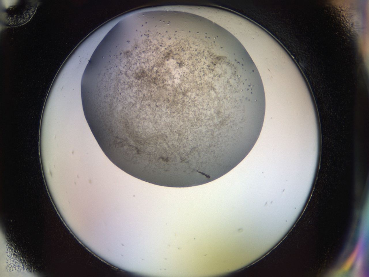 04n9_H10_ImagerDefaults_7.jpg