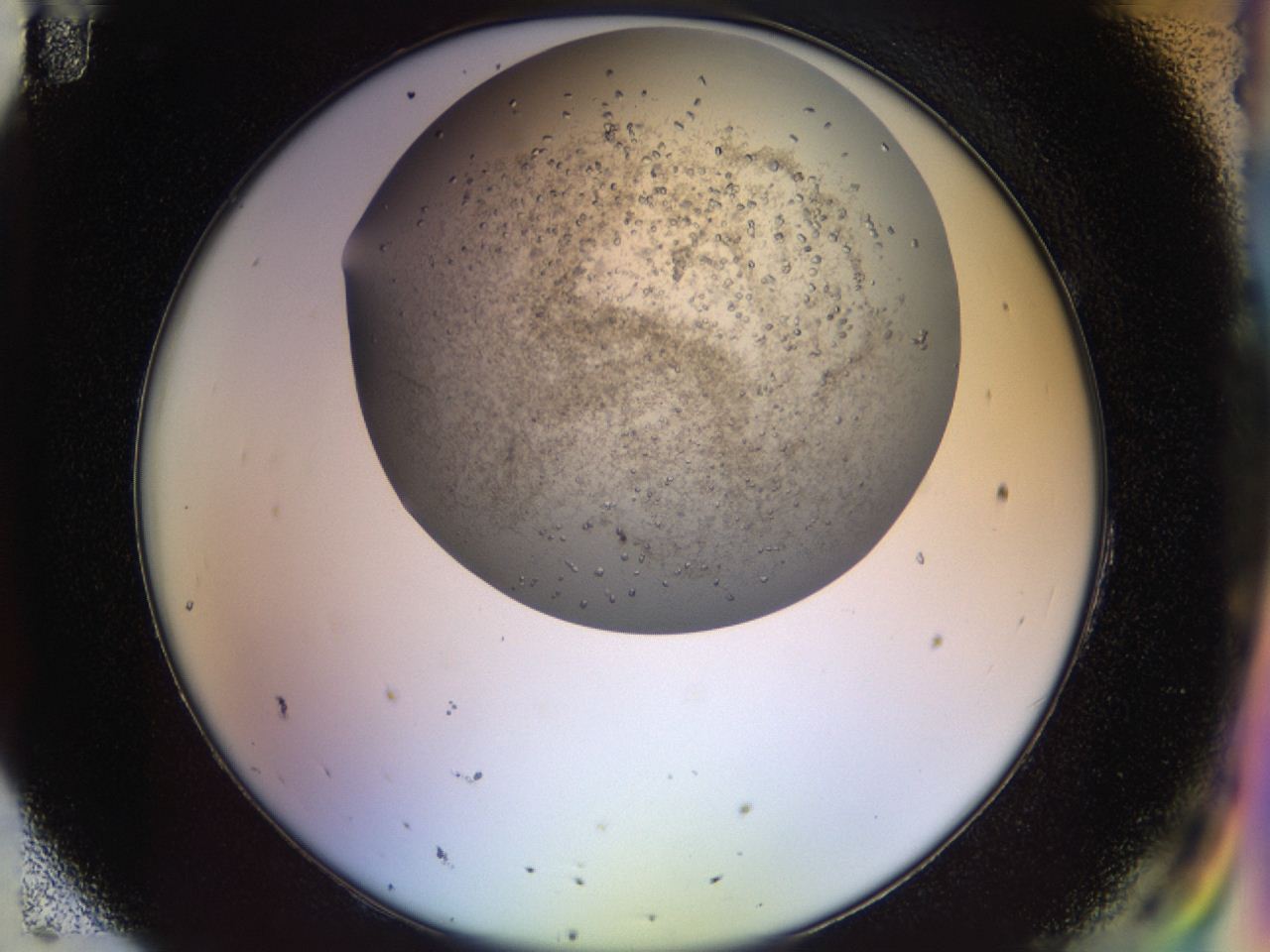 04n9_H11_ImagerDefaults_8.jpg