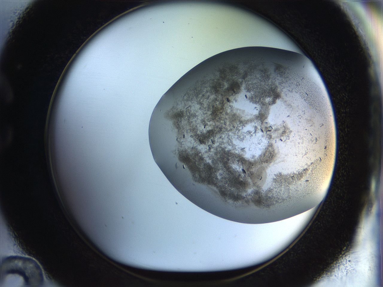 04na_C12_ImagerDefaults_6.jpg