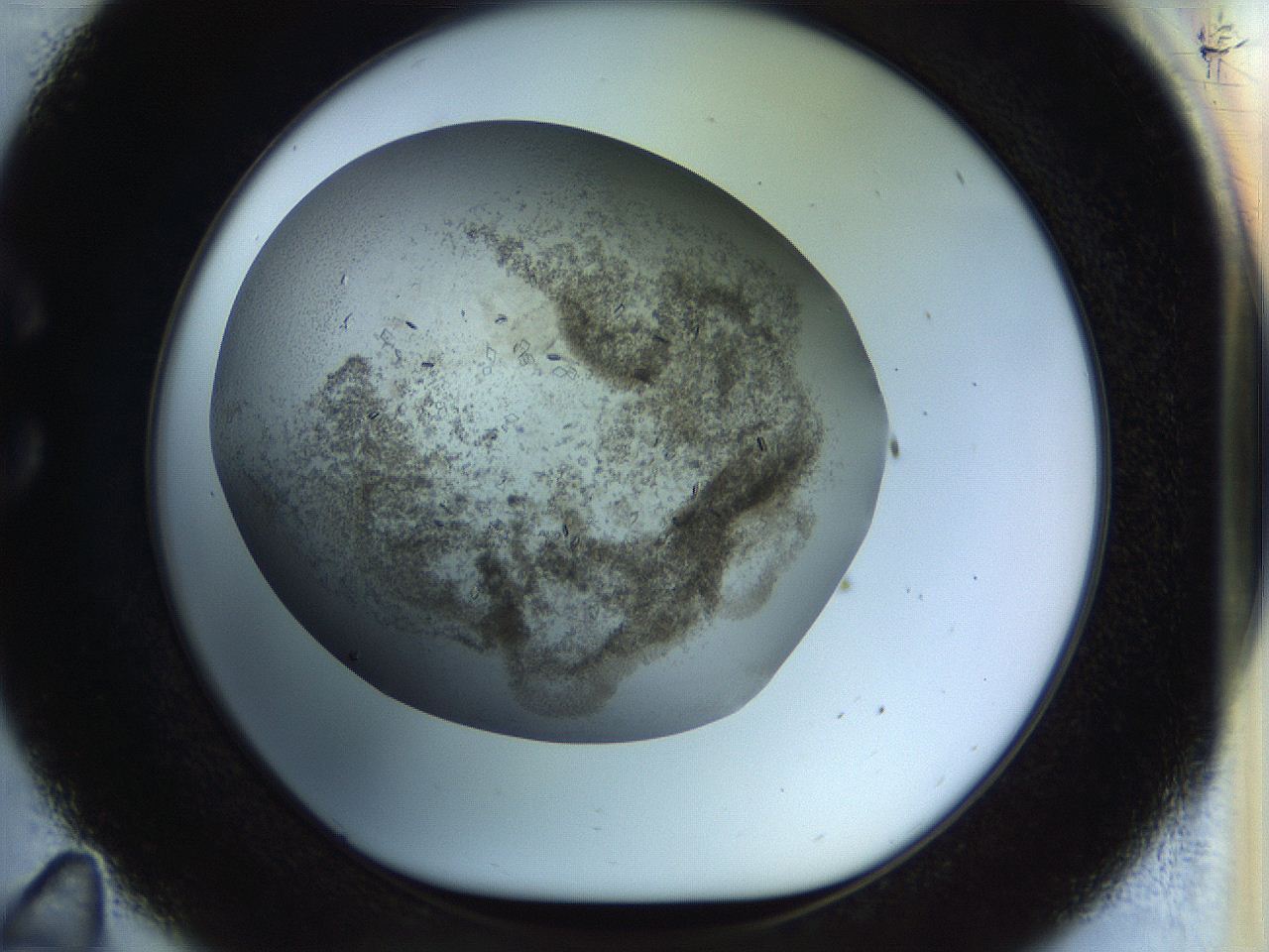 04na_C11_ImagerDefaults_6.jpg