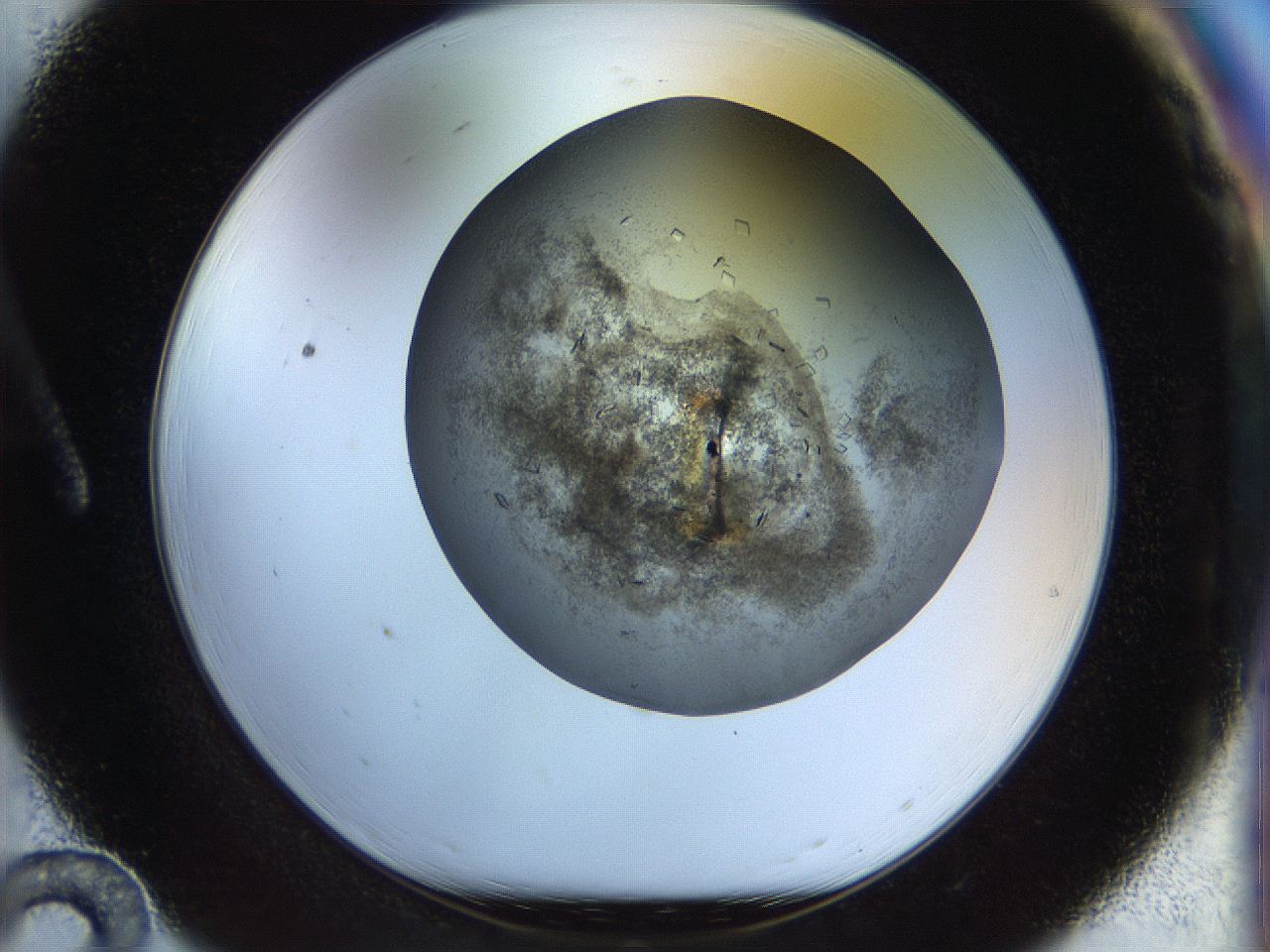 04na_A12_ImagerDefaults_6.jpg