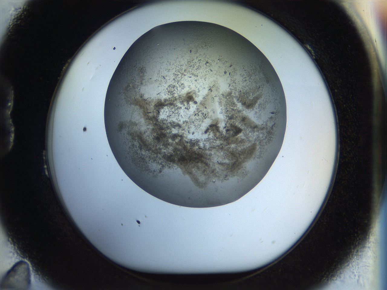 04na_B11_ImagerDefaults_6.jpg