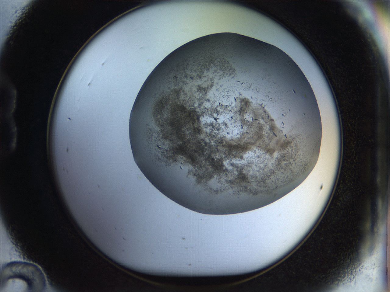 04na_B12_ImagerDefaults_6.jpg