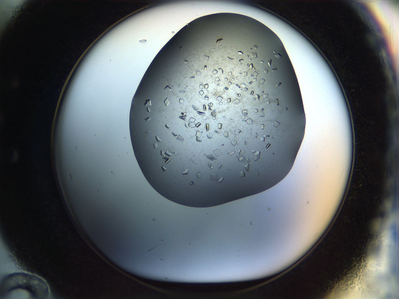 04na_E12_ImagerDefaults_9.jpg