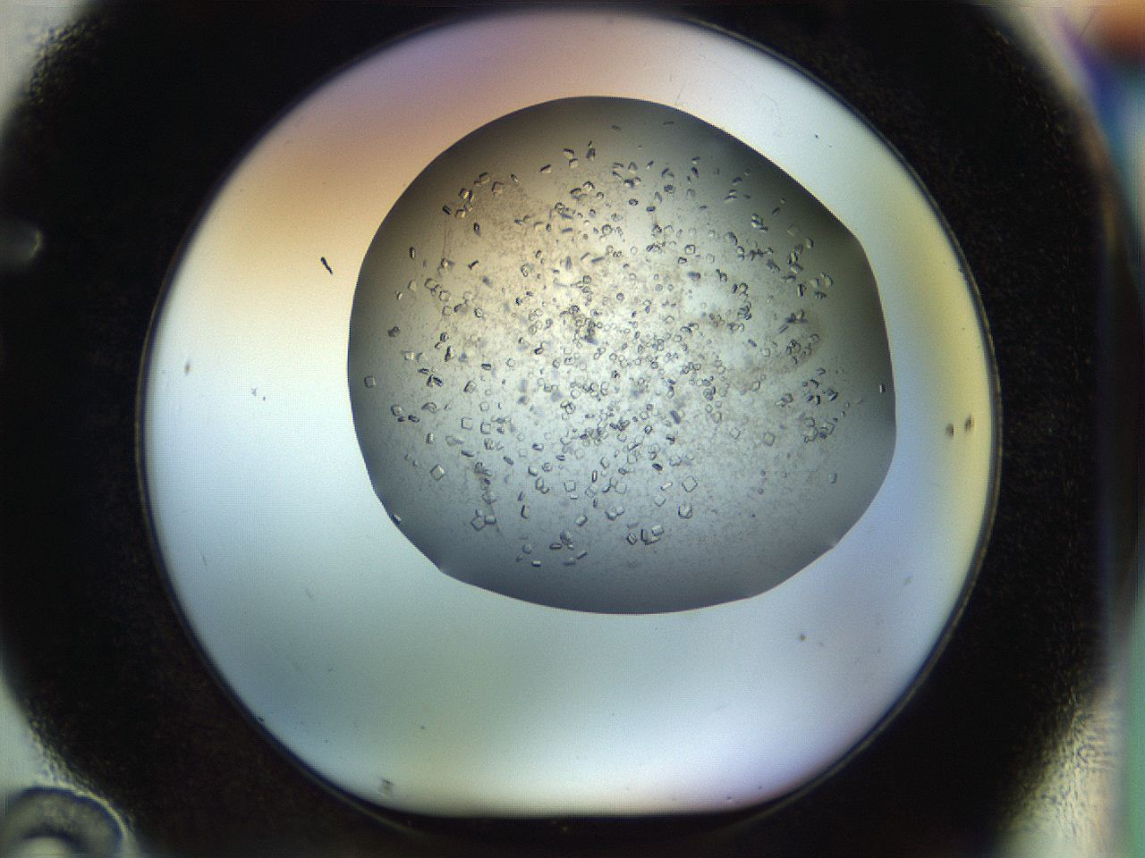04na_F10_ImagerDefaults_9.jpg