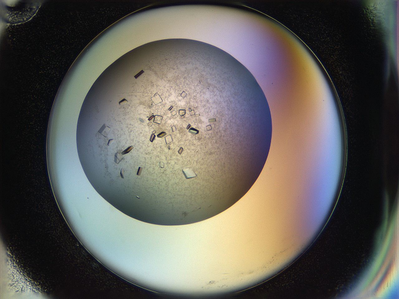 04na_G10_ImagerDefaults_9.jpg