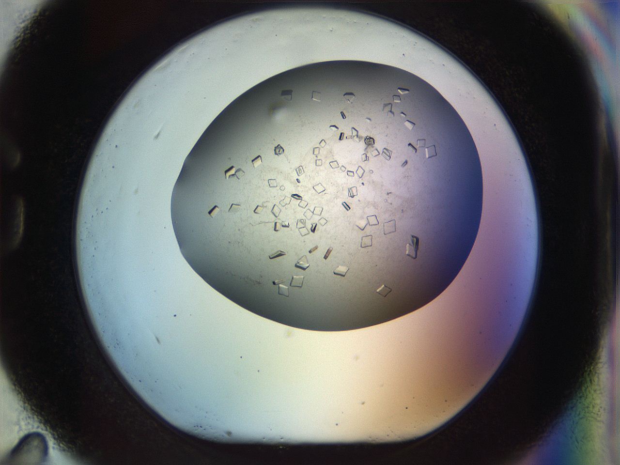 04na_G11_ImagerDefaults_9.jpg