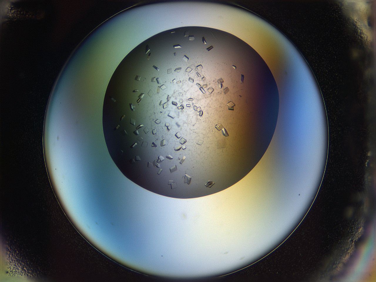 04na_G12_ImagerDefaults_9.jpg