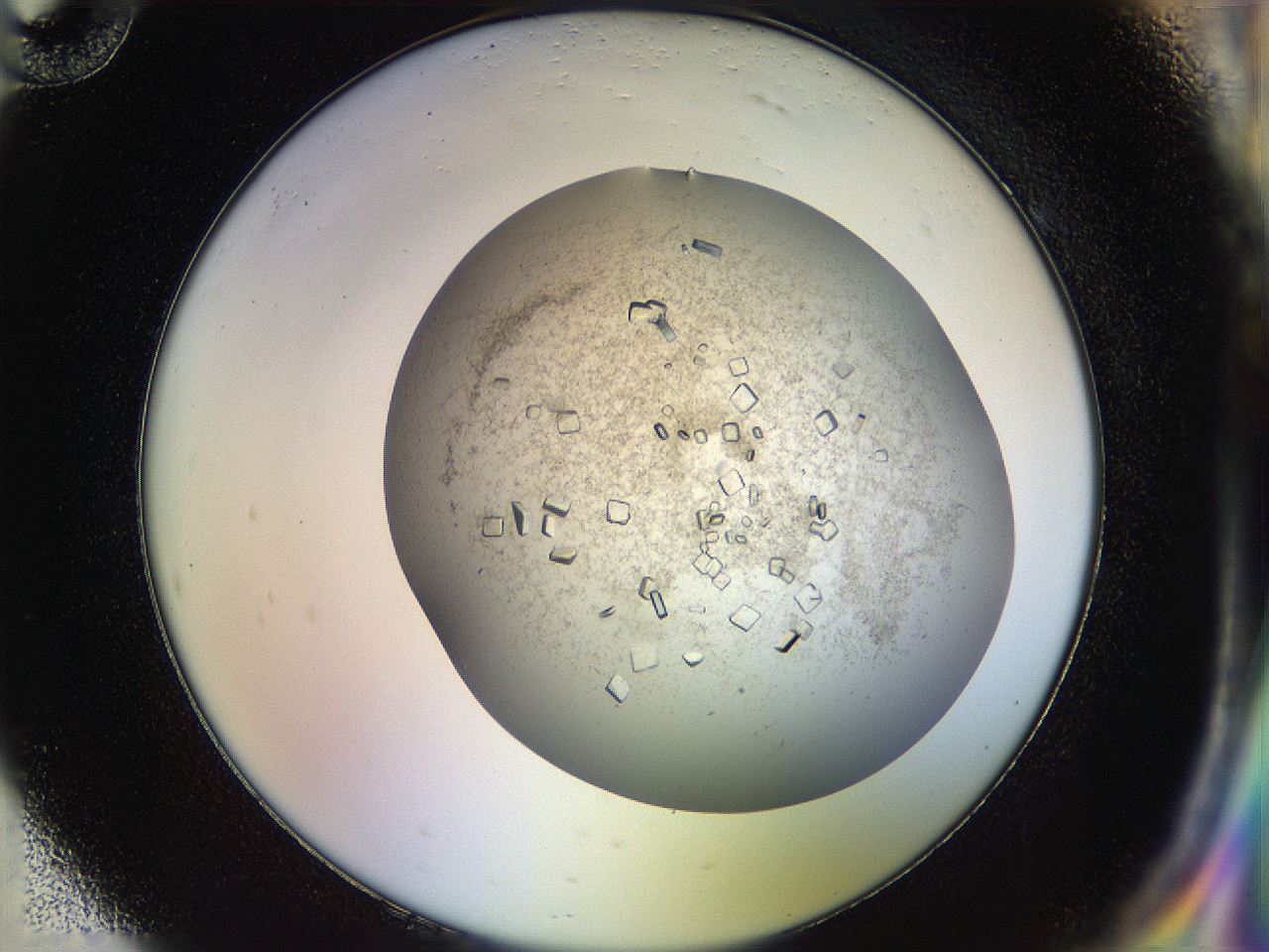 04na_H10_ImagerDefaults_9.jpg