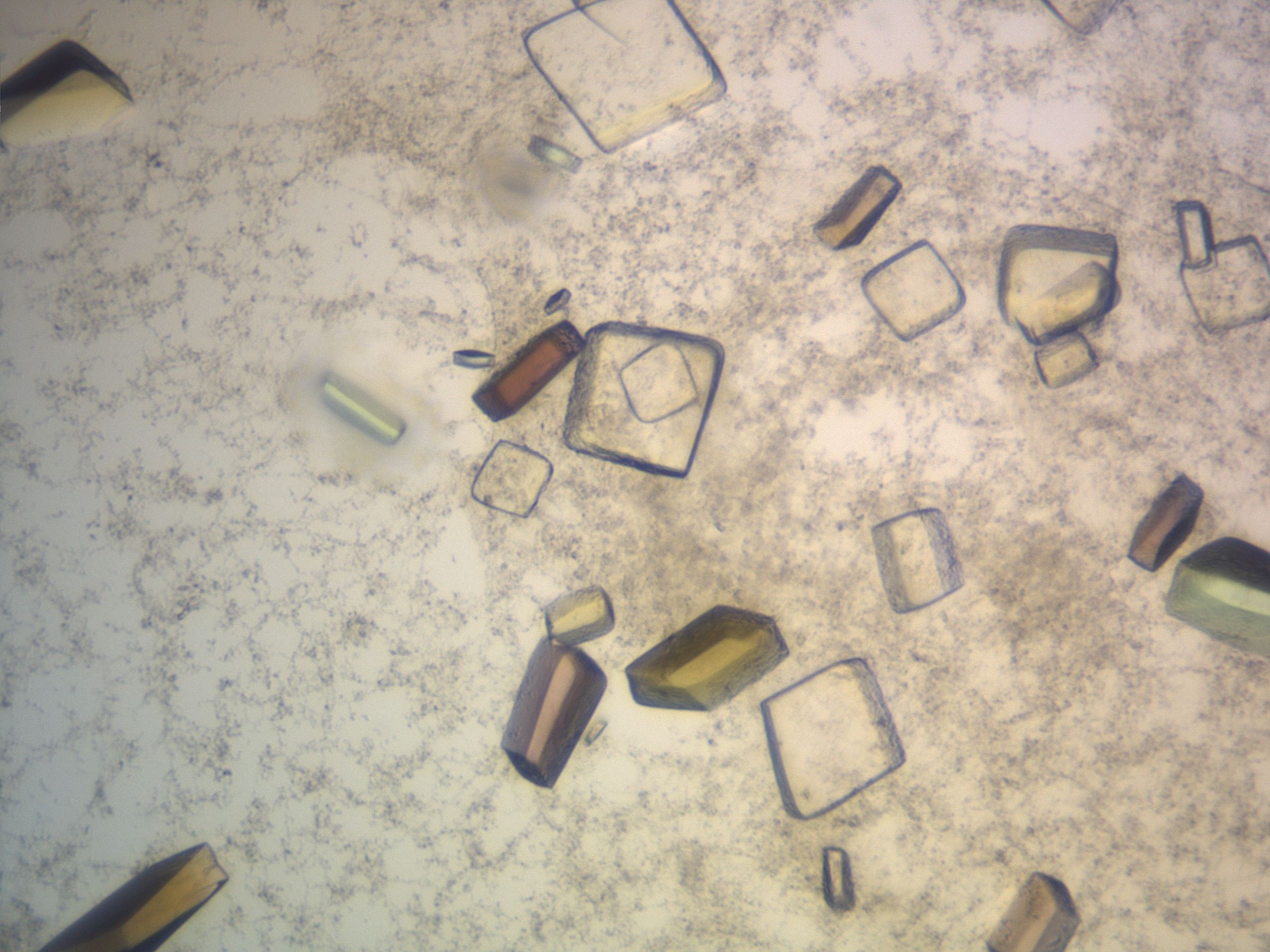 04na_G10_HighResolution_9.jpg