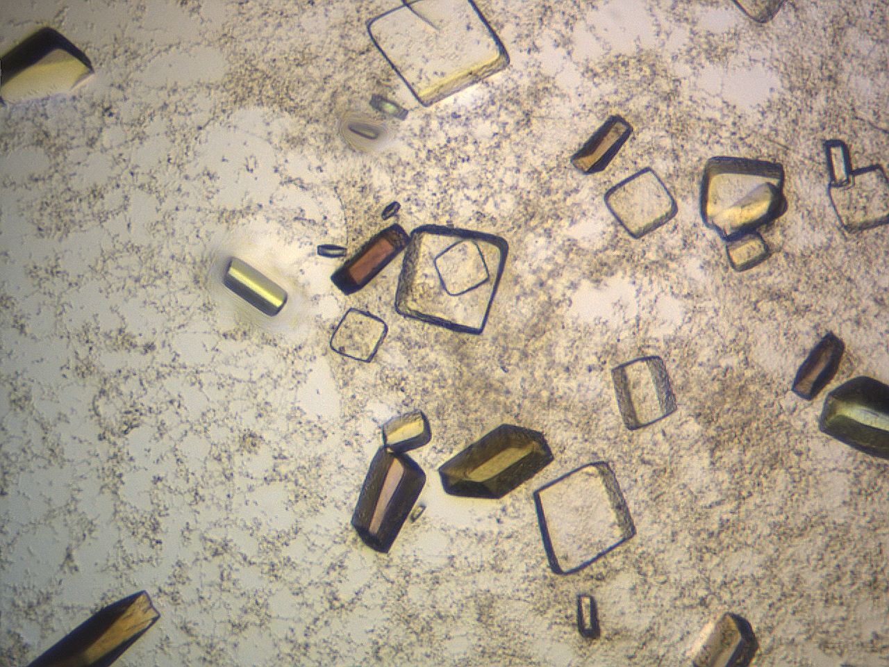04na_G10_HighContrast_9.jpg