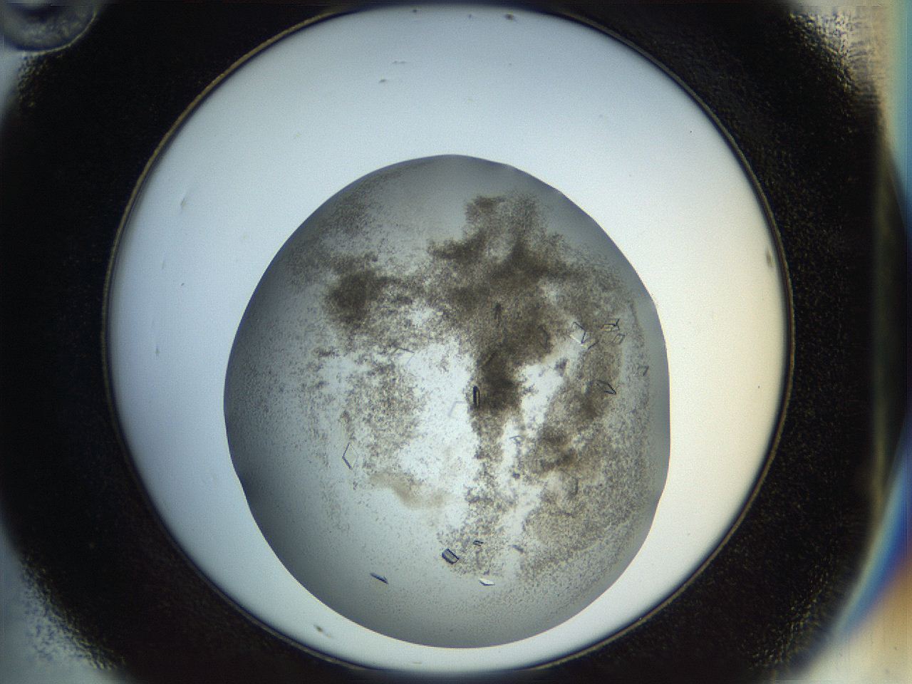 04nc_D10_ImagerDefaults_6.jpg