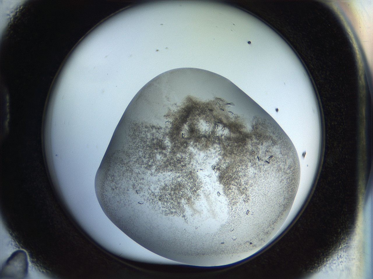 04nc_D11_ImagerDefaults_6.jpg