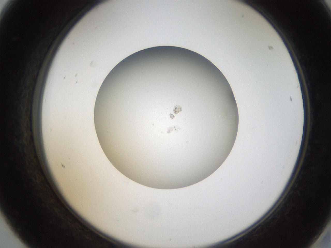 folderID65_plateID1065_batchID3216_wellNum68_profileID1_d2_r53884_ef.jpg