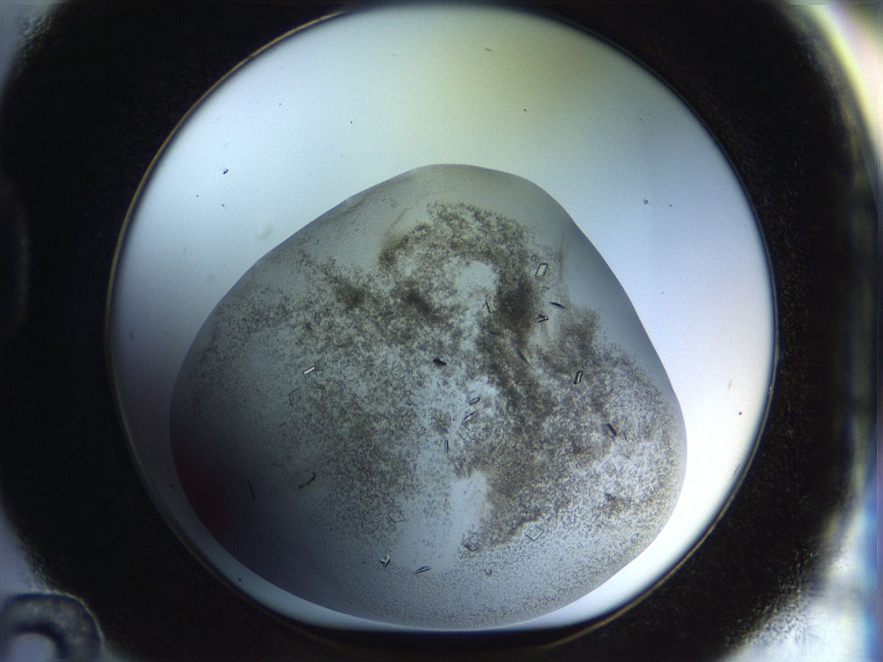 04nc_D12_ImagerDefaults_6.jpg