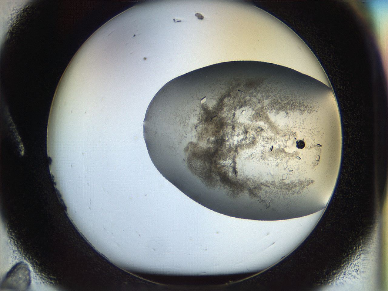 04nc_A11_ImagerDefaults_6.jpg