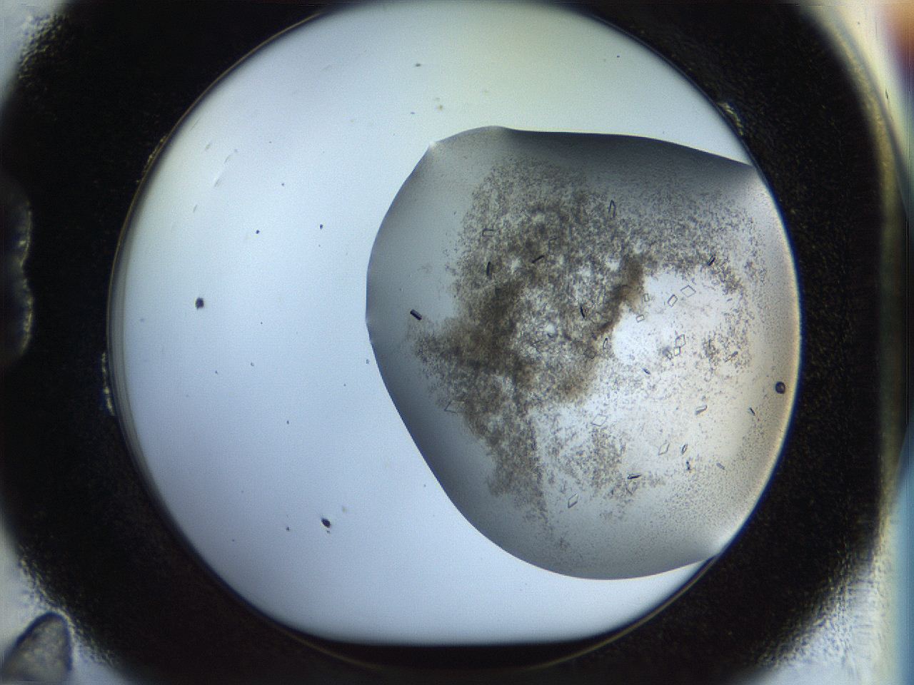 04nc_B11_ImagerDefaults_6.jpg