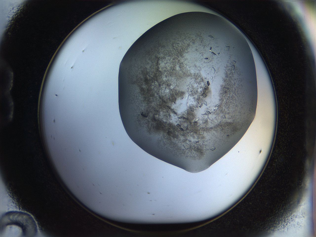 04nc_B12_ImagerDefaults_6.jpg