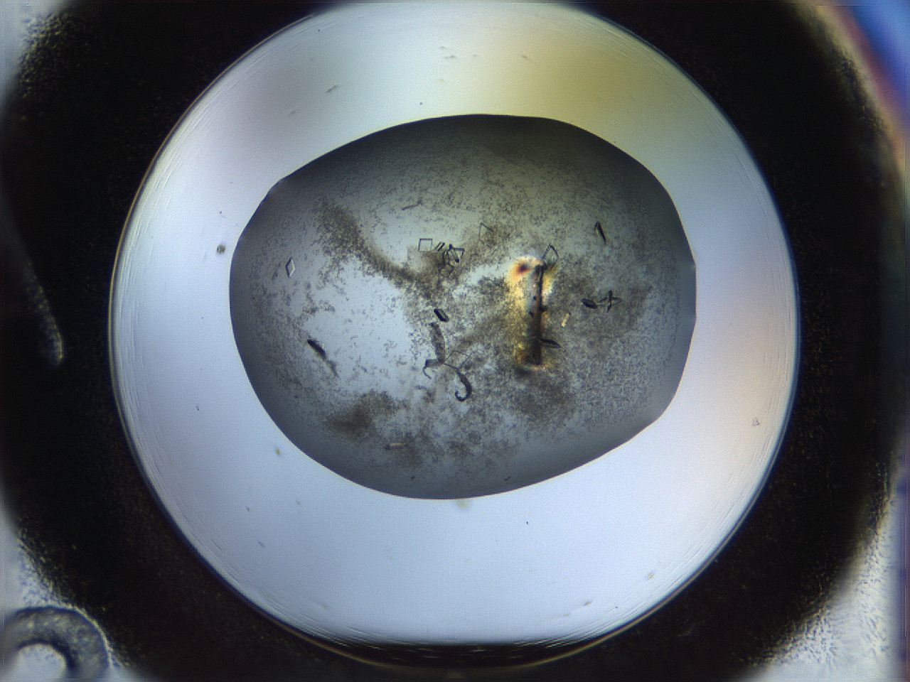 04nc_A12_ImagerDefaults_6.jpg