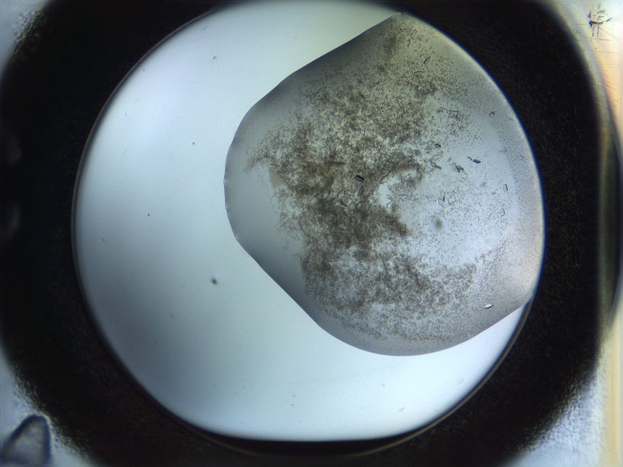 04nc_C11_ImagerDefaults_6.jpg