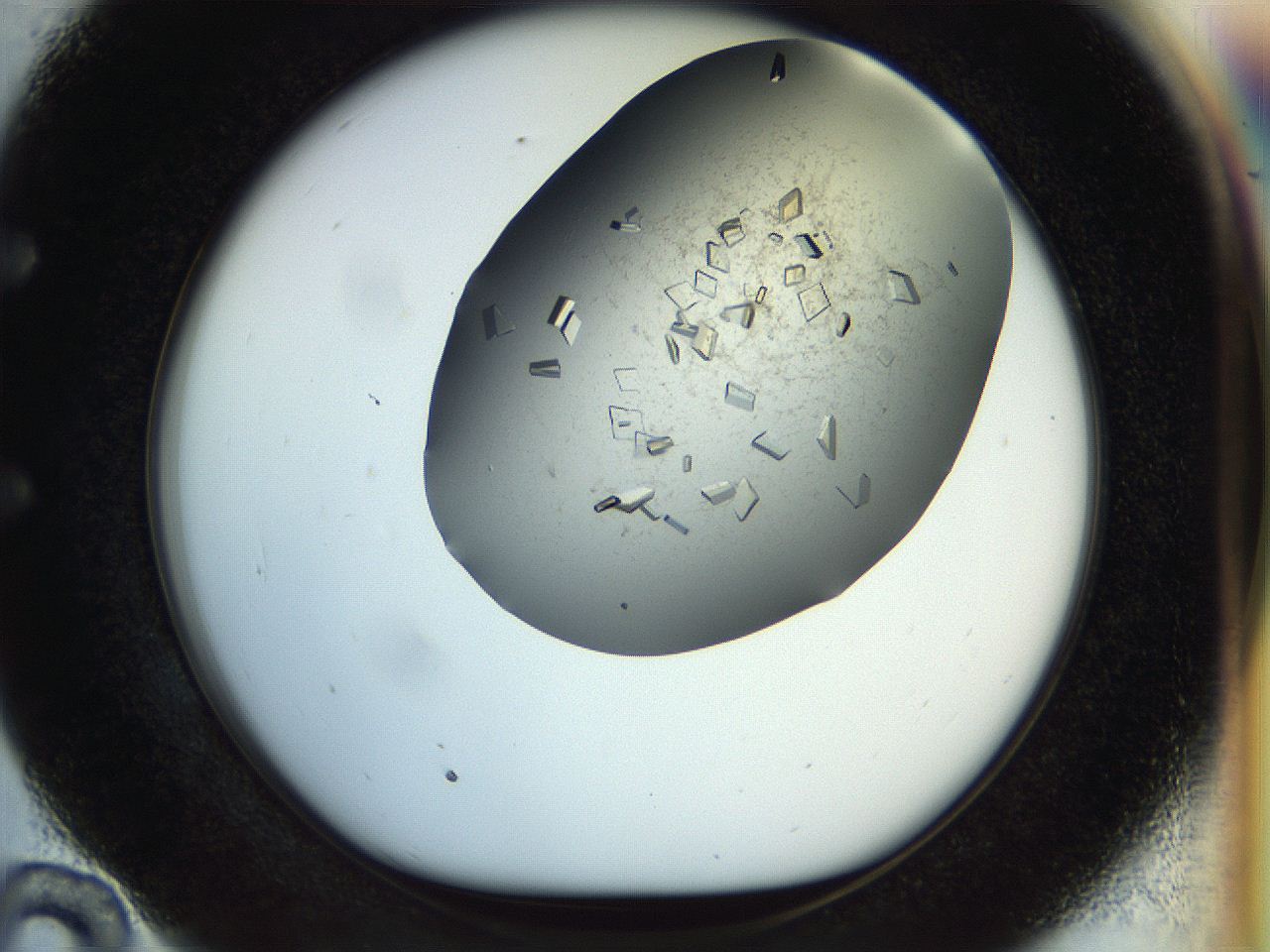 04nc_E10_ImagerDefaults_9.jpg