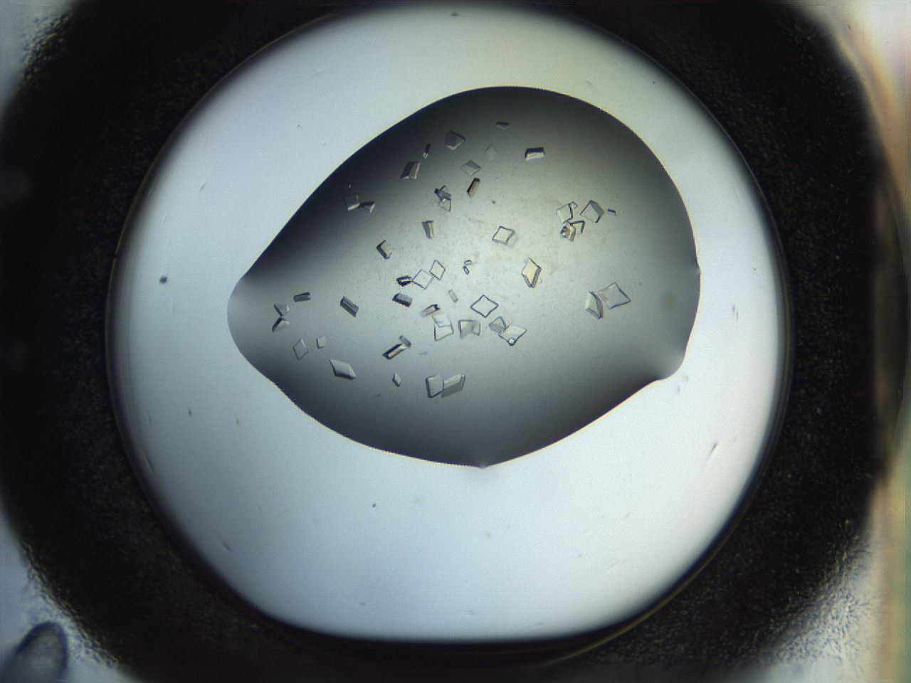04nc_E11_ImagerDefaults_9.jpg