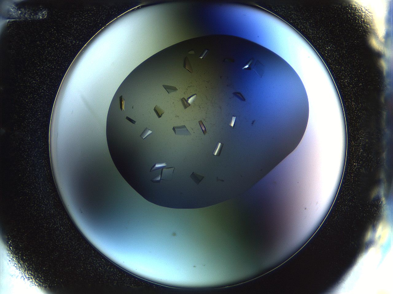 04nc_E12_ImagerDefaults_9.jpg