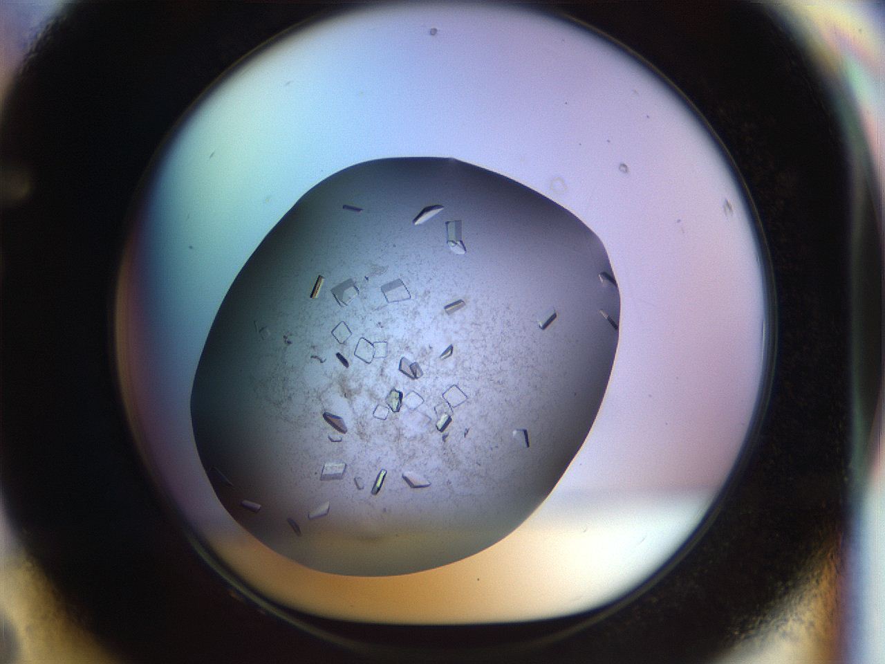 04nc_F8_ImagerDefaults_9.jpg