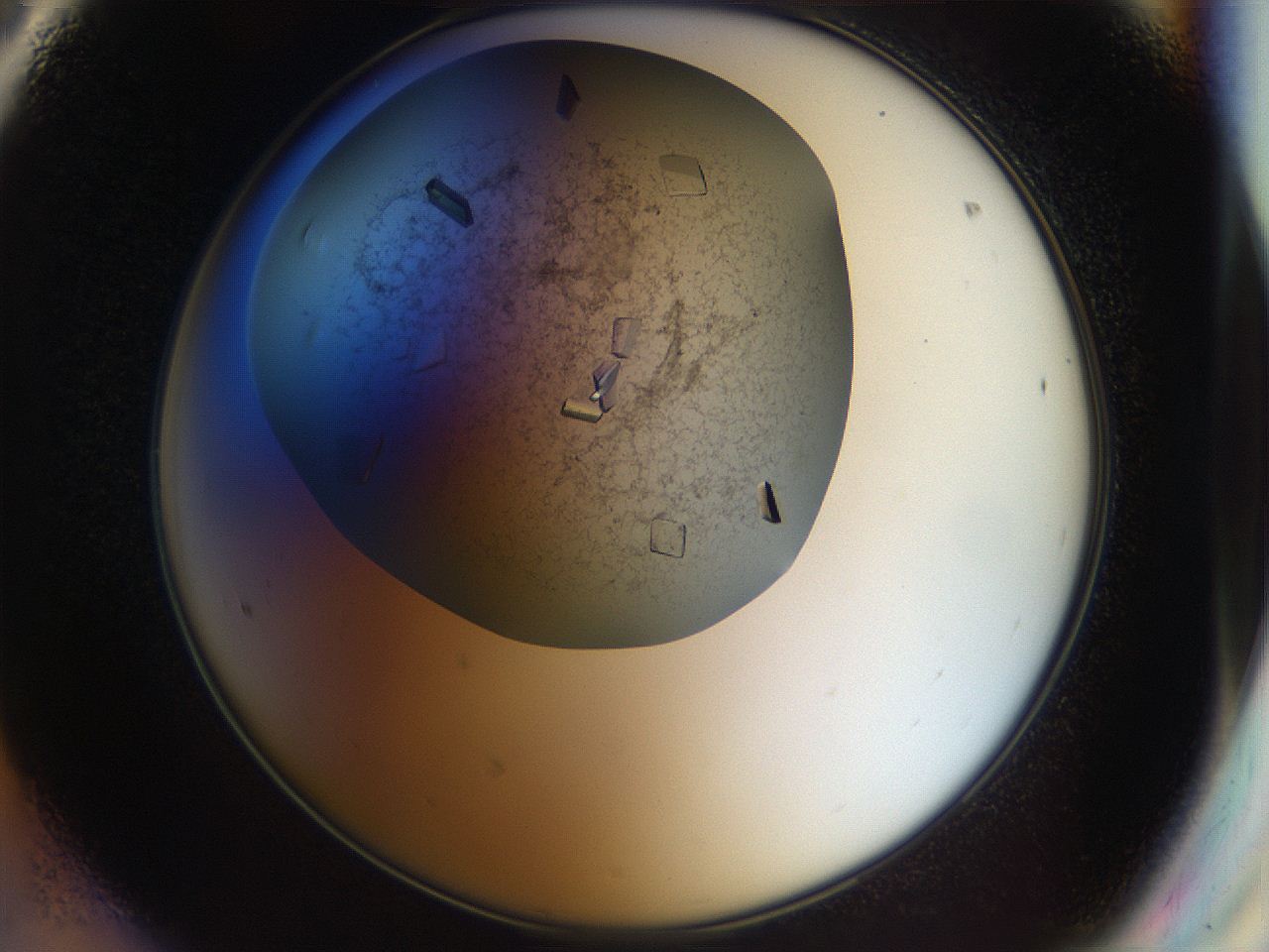 04nc_F8_ImagerDefaults_8.jpg