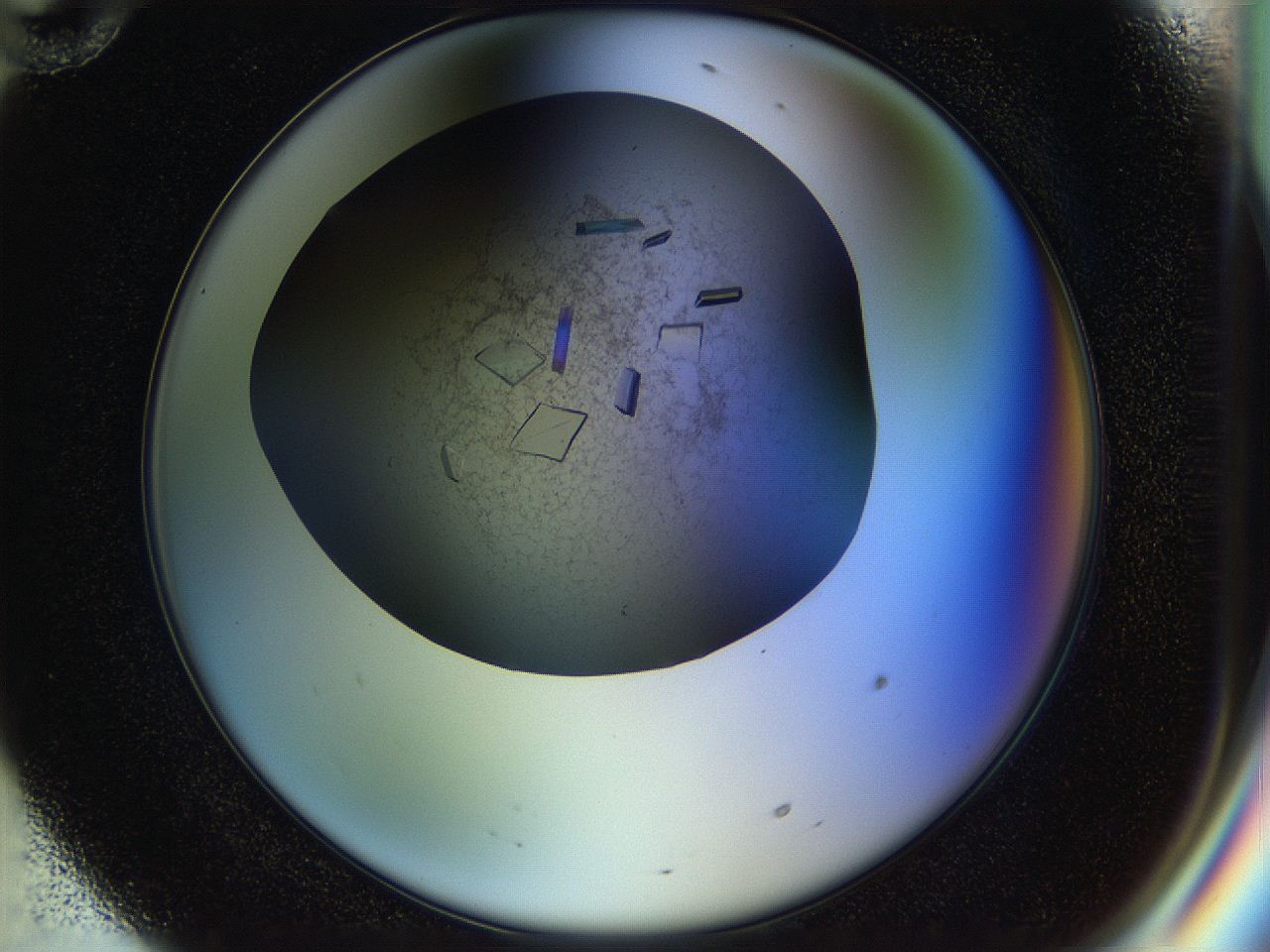 04nc_F10_ImagerDefaults_8.jpg