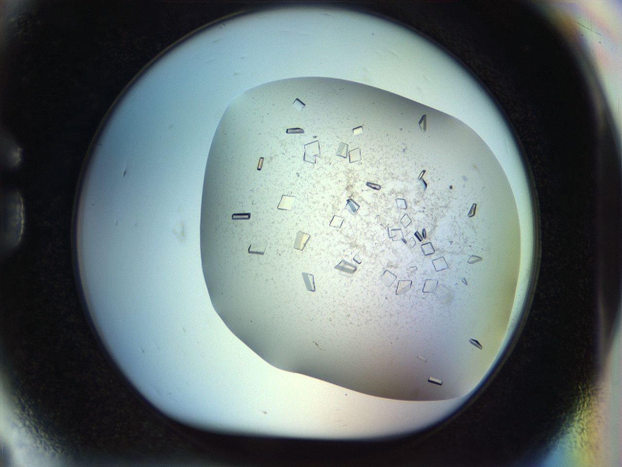 04nc_G9_ImagerDefaults_9.jpg