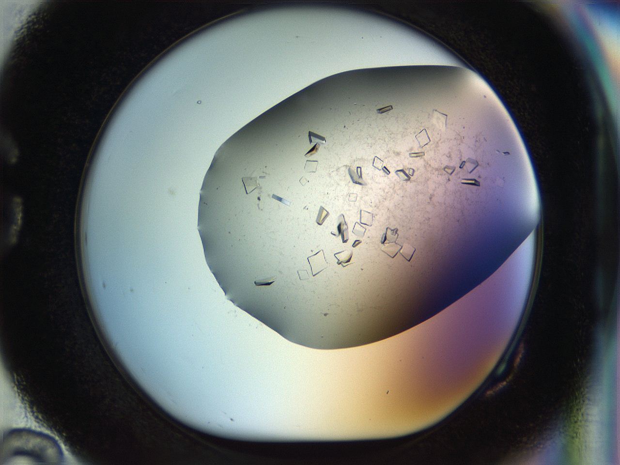 04nc_G10_ImagerDefaults_9.jpg
