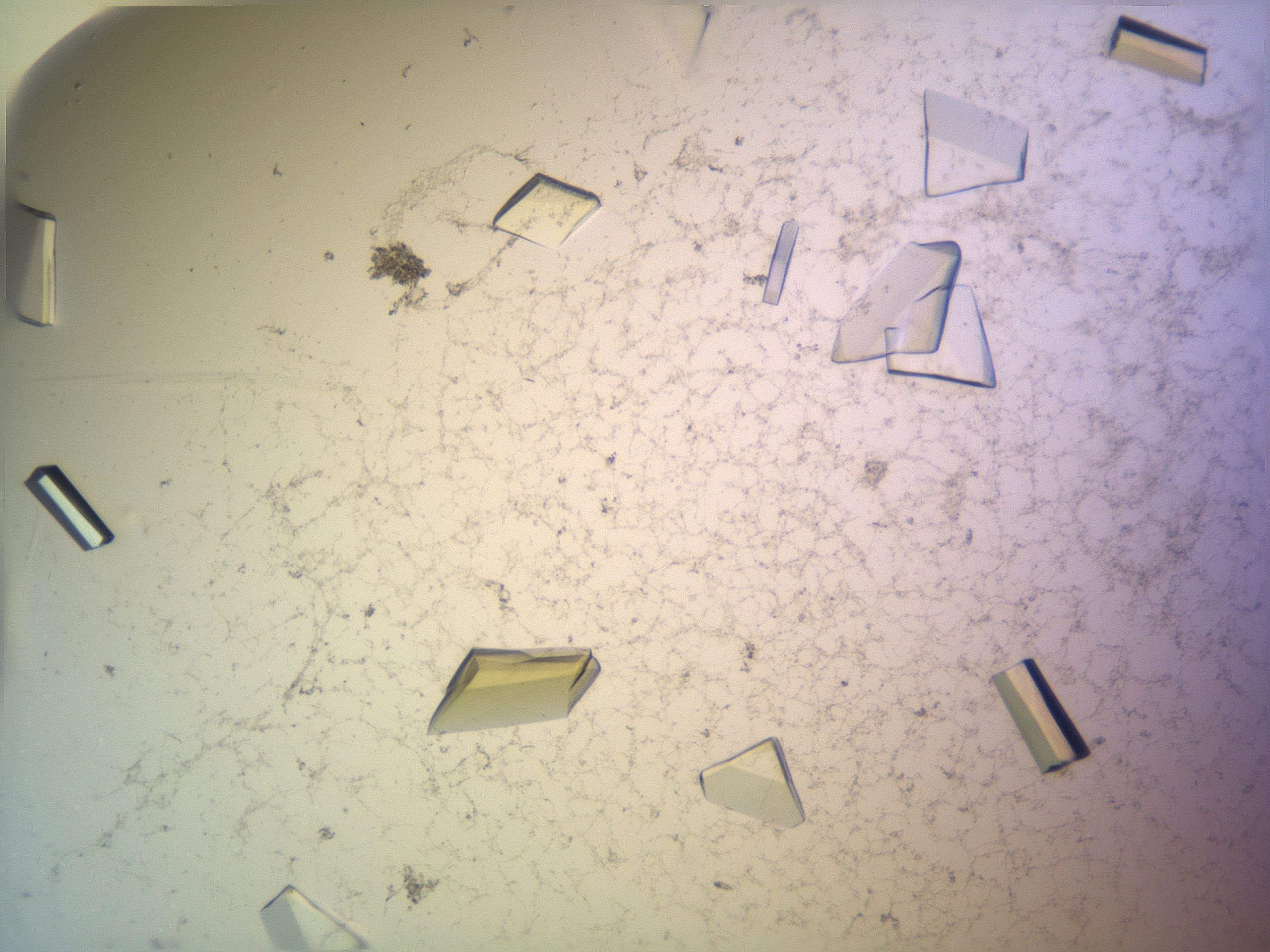 04nc_G10_HighResolution_9.jpg