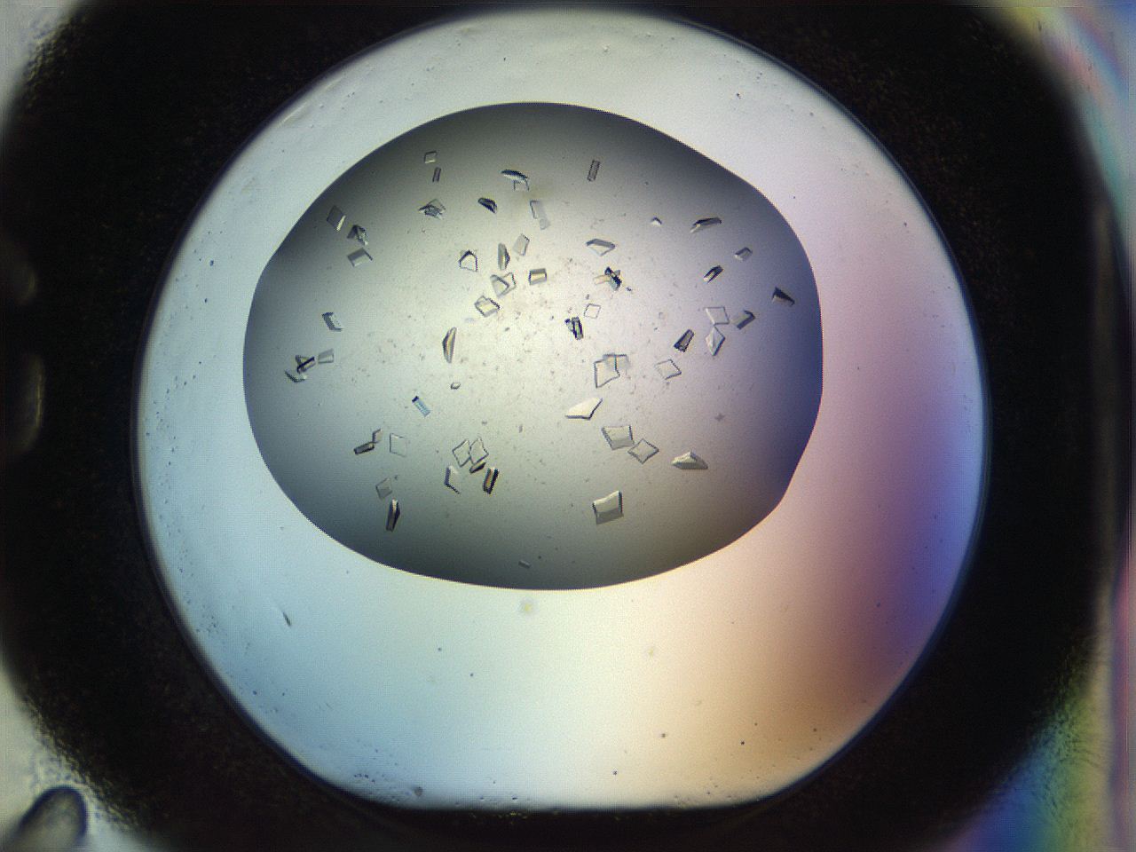 04nc_G11_ImagerDefaults_9.jpg