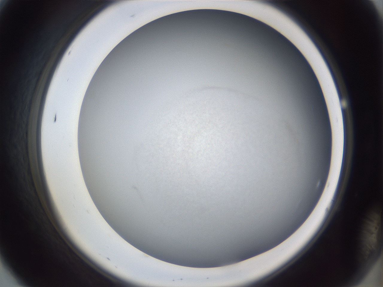 folderID665_plateID3665_batchID22153_wellNum7_profileID1_d2_r329086_ef.jpg