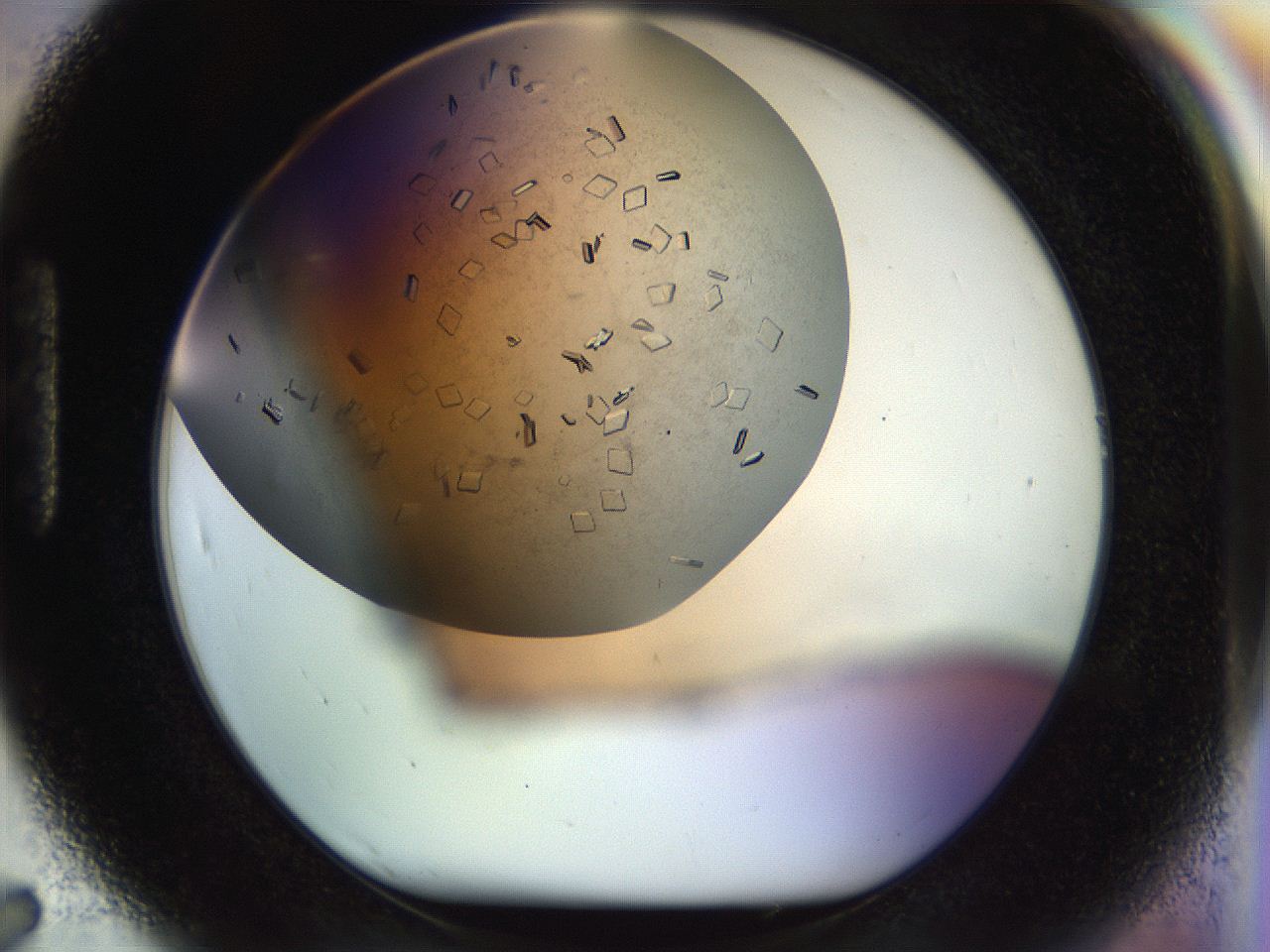 04nc_H7_ImagerDefaults_9.jpg