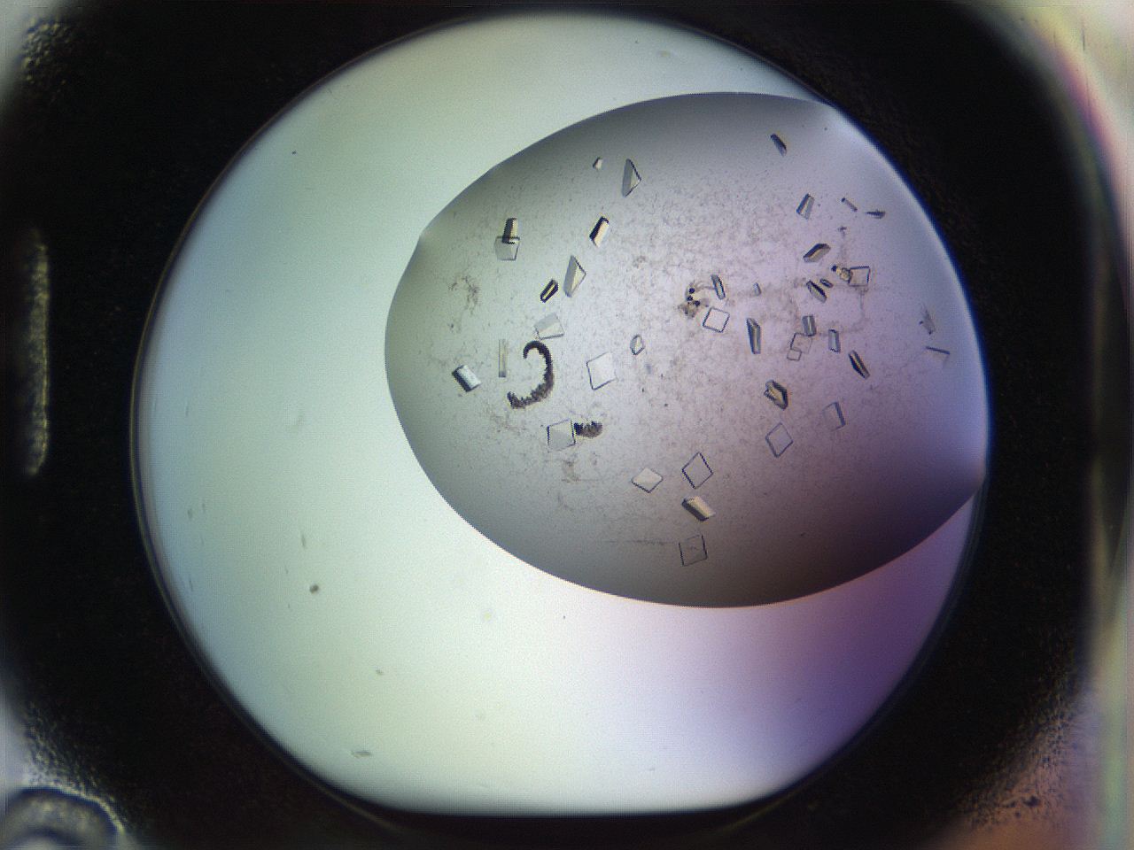 04nc_H10_ImagerDefaults_9.jpg