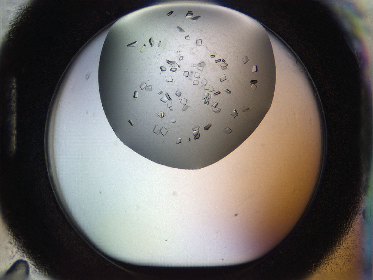 04nc_H11_ImagerDefaults_9.jpg