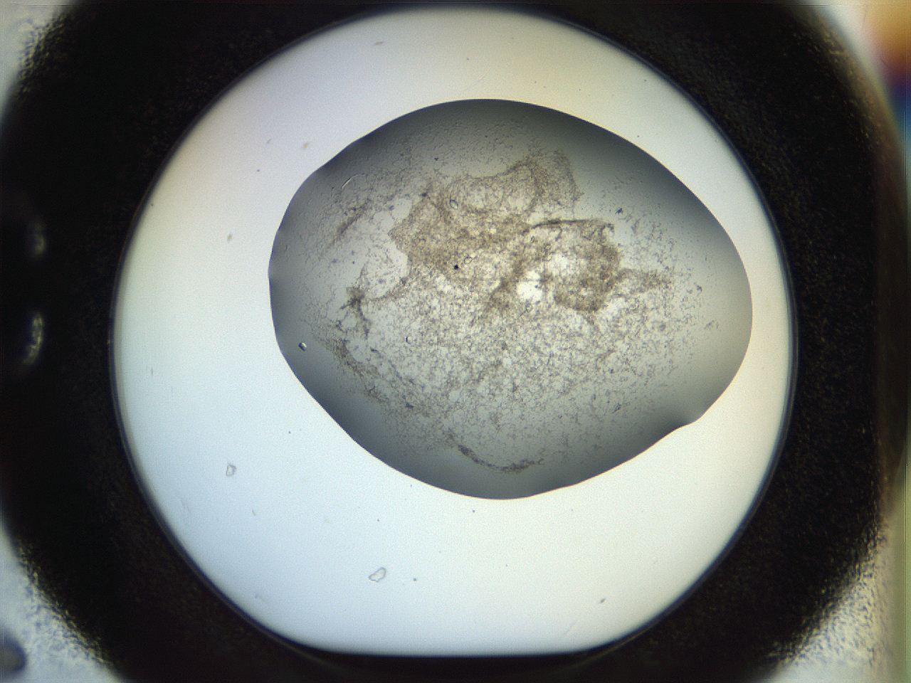 04nk_C6_ImagerDefaults_7.jpg