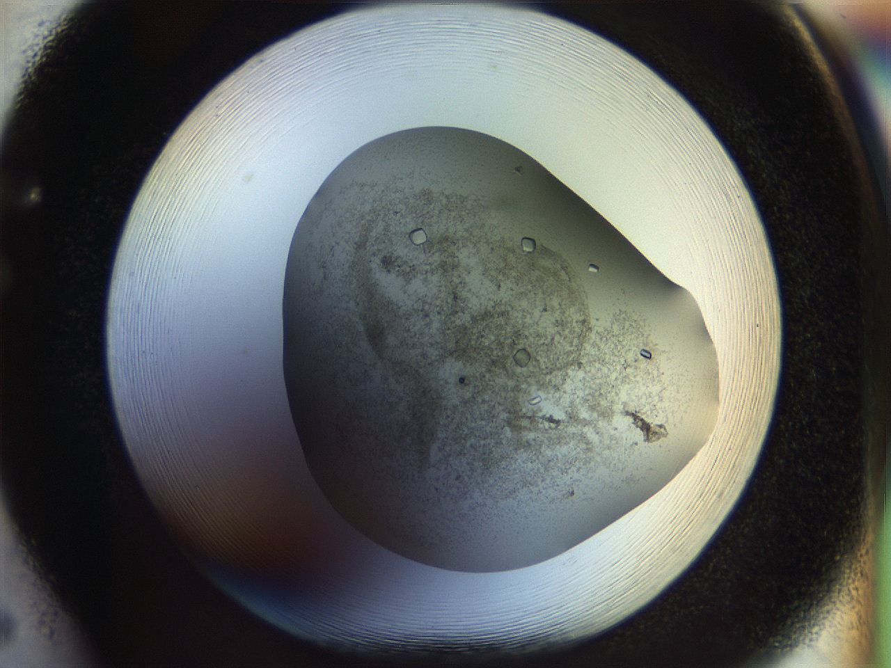 04nk_F5_ImagerDefaults_8.jpg