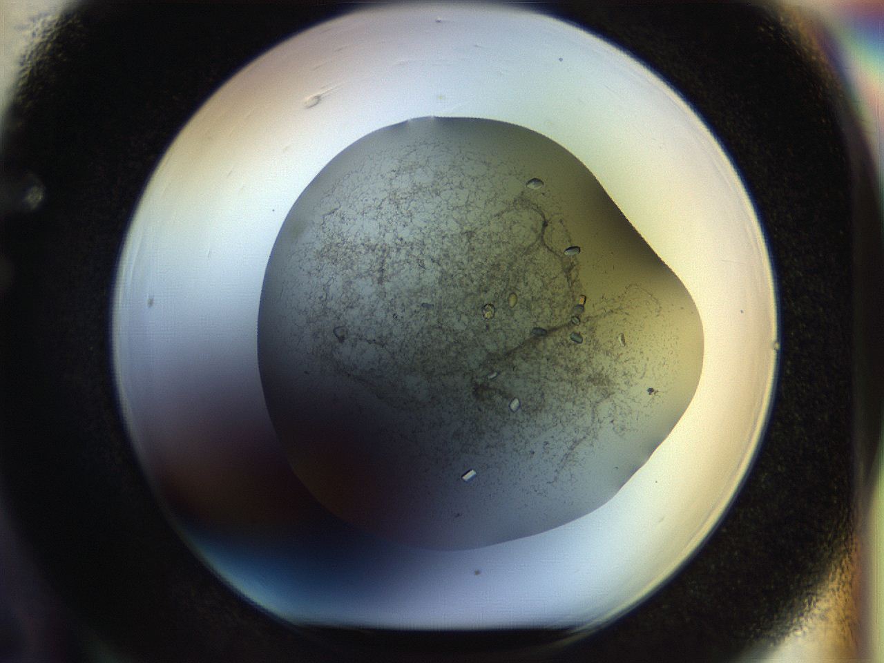 04nk_F6_ImagerDefaults_8.jpg