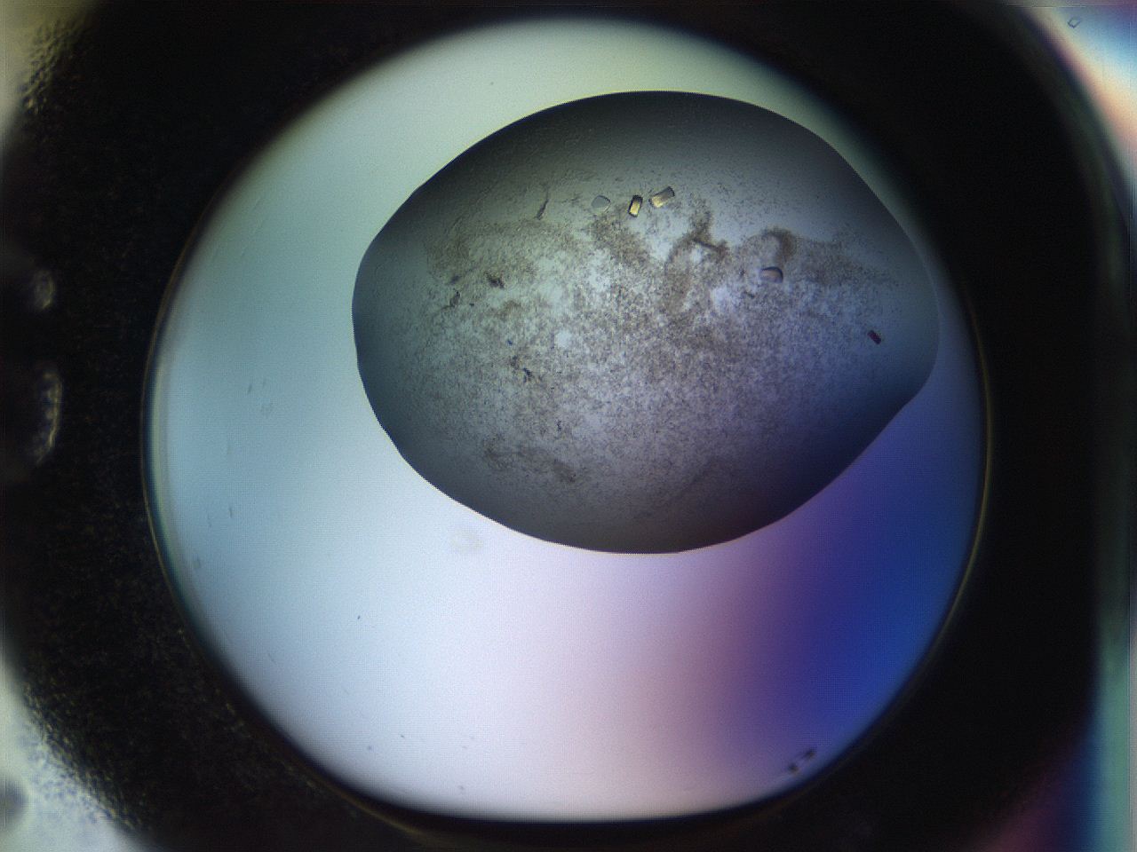 04nk_G5_ImagerDefaults_8.jpg