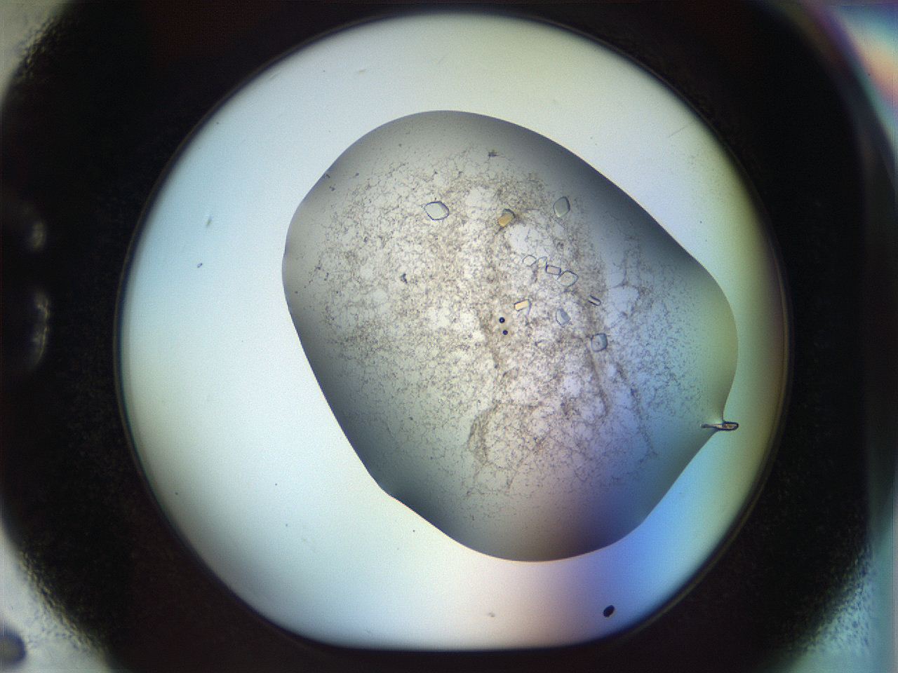 04nk_G6_ImagerDefaults_9.jpg
