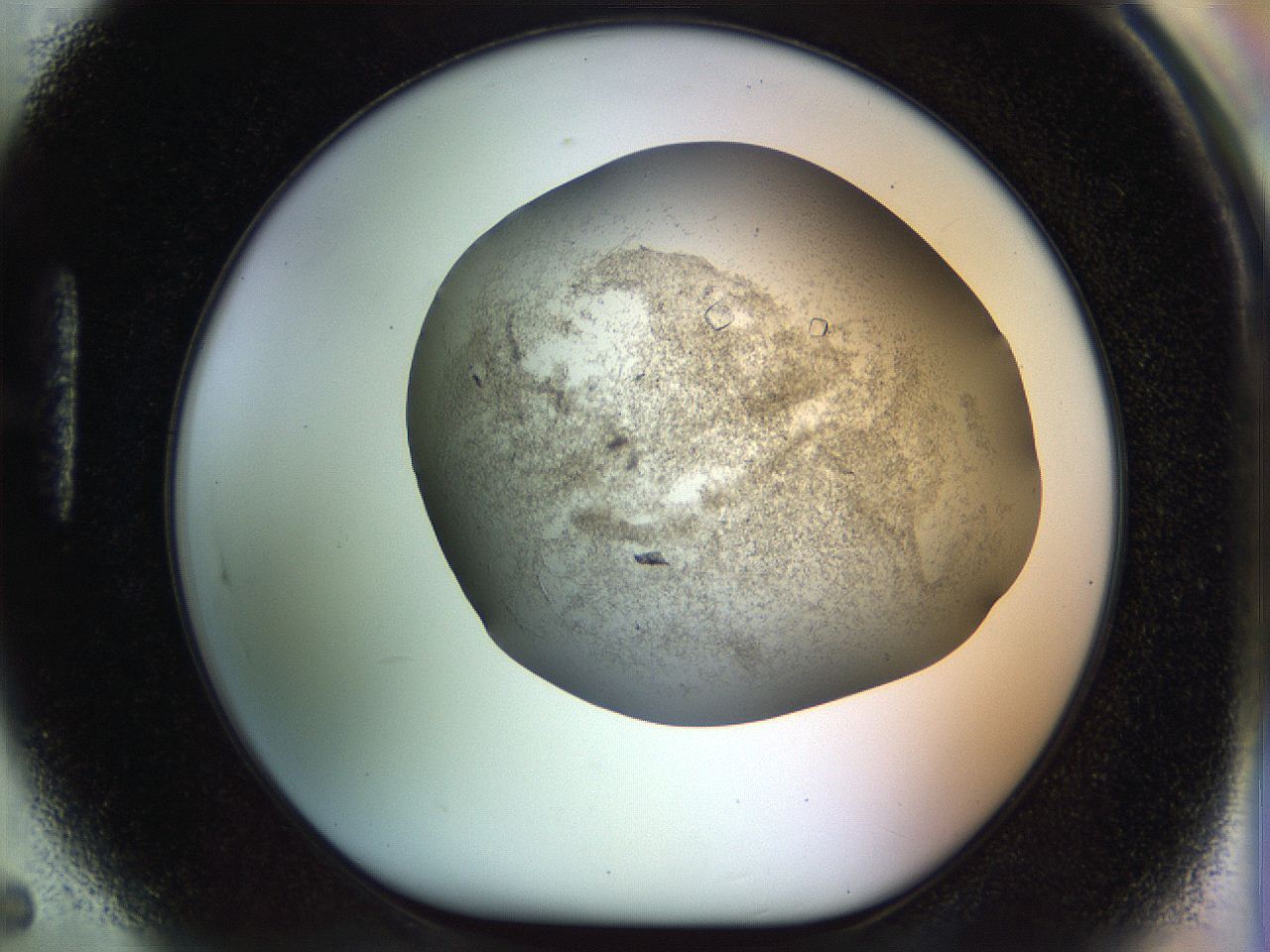 04nk_H5_ImagerDefaults_8.jpg