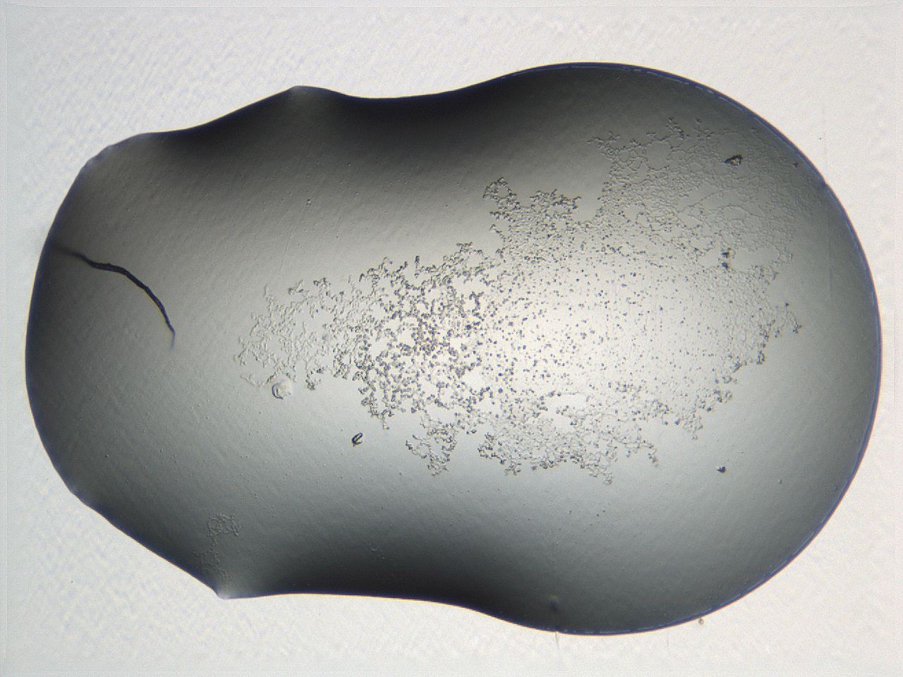 04np_C6_ImagerDefaults_3.jpg