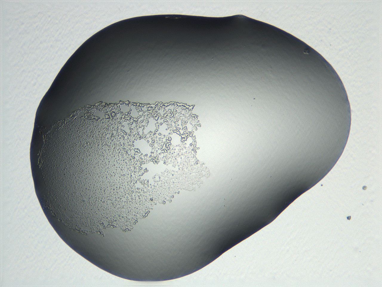 04np_C1_ImagerDefaults_3.jpg